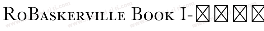 RoBaskerville Book I字体转换